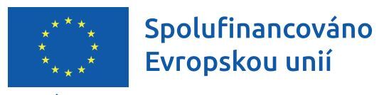 Evropský sociální fond